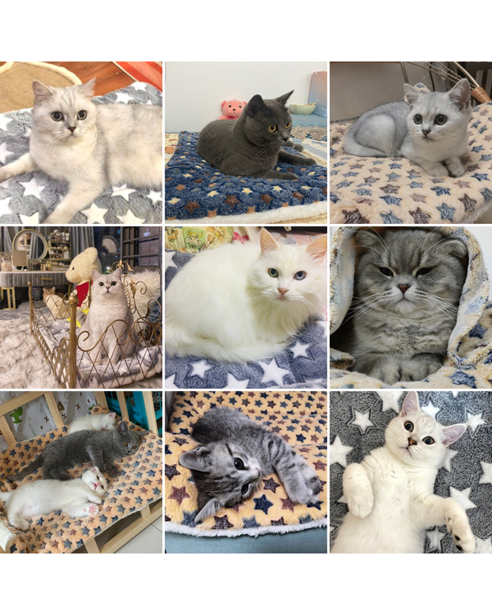 Pet Blanket Dog reusable Cat Mat Soft Pet Bed Accessories Keep Warm In Winter Pet Sleeping Mat For Sofa Warmer Pet front-2