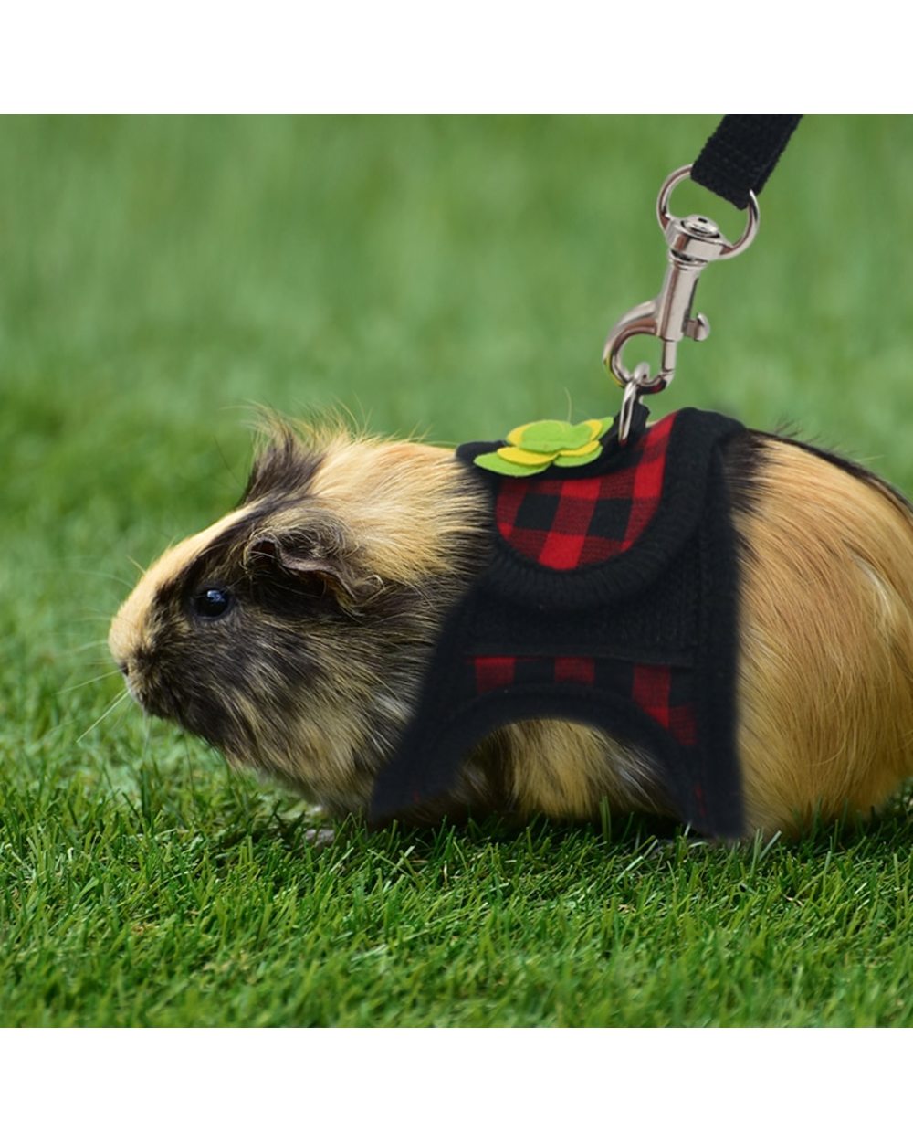 Small Pet Two-legged Chest Strap Outdoor Traction Rope Leash For Chinchilla Dutch Guinea Pig Breathable Denim Corset front-2