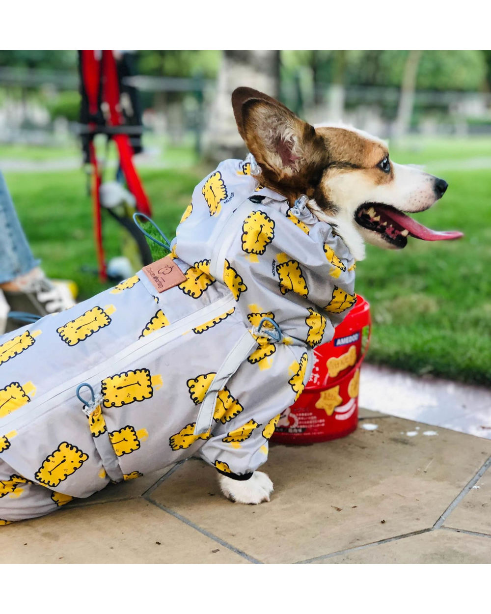 Welsh Corgi Dog Raincoat Jumpsuit Pet Clothing Waterproof Dog Clothes Golden Retriever Rain Jacket front-4