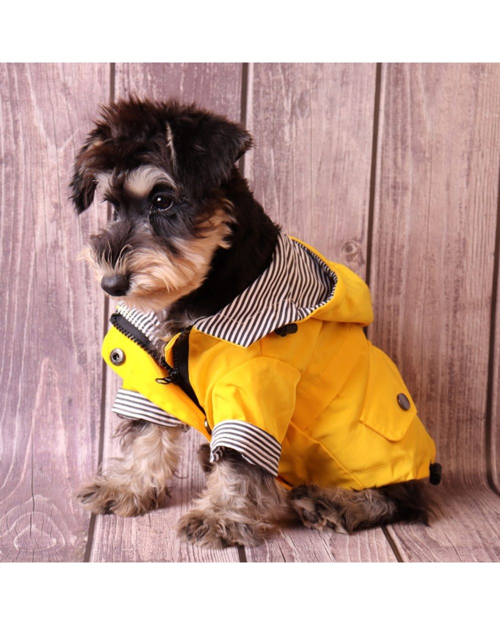 Pet Dog Clothes for Small Large Dogs Waterproof Puppy Raincoat Cool Dog Jacket Coat Dogs Outfit Pet Supplies front-4