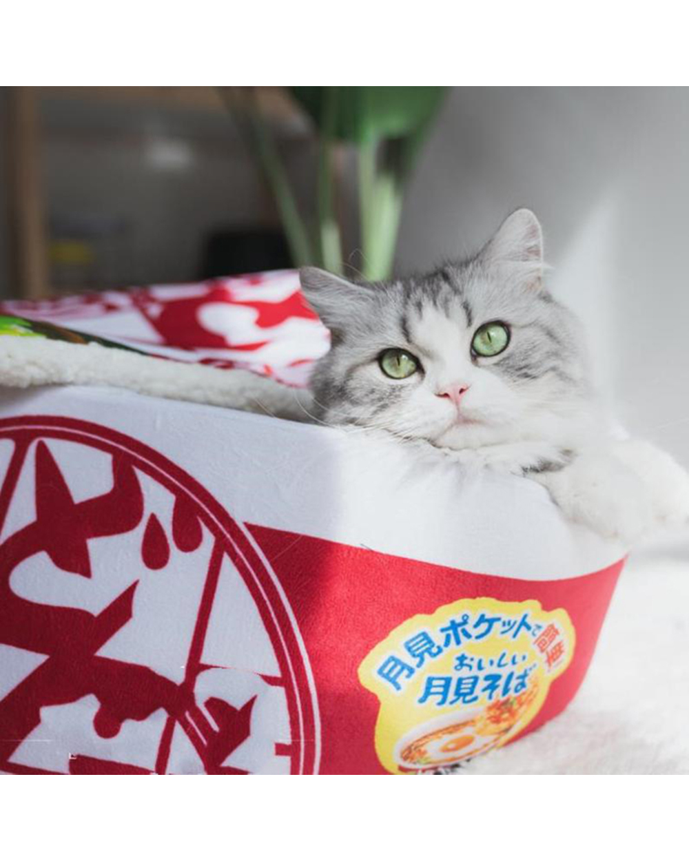 Funny Noodles Small Dog Bed House front-5