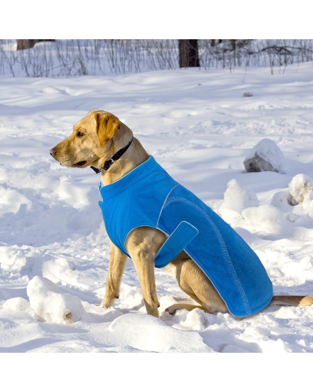 Winter Fleece Dog Coat Jacket For Small Dogs Chihuahua Pug Warm Puppy Large Dogs Vest Clothing Reflective front-1