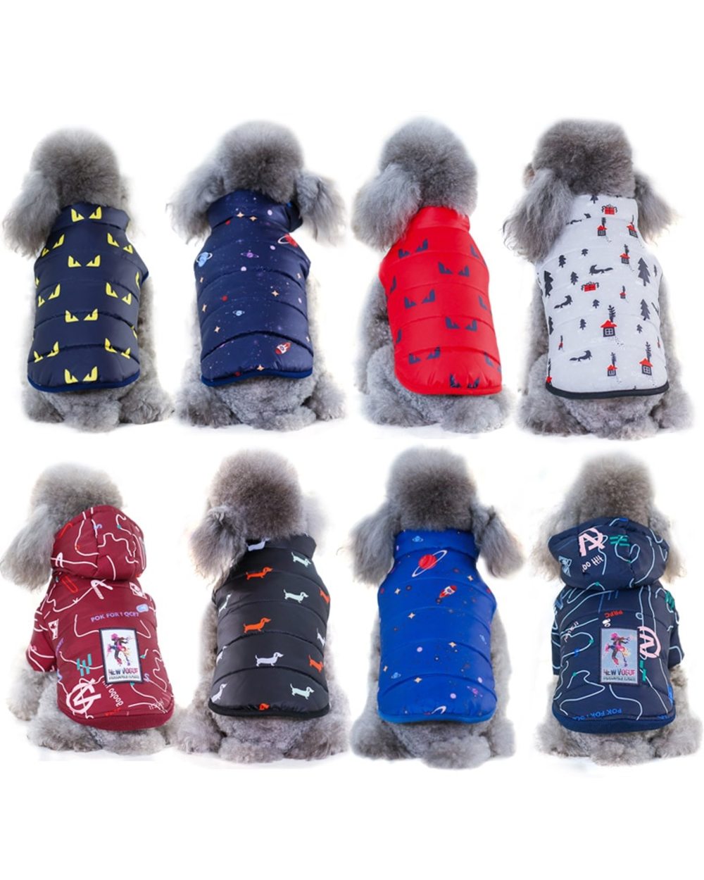 Dachshund Dog Jacket front-6