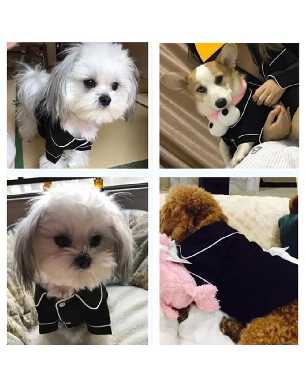 Pet Pajamas Fashion Pet Clothes Dog Shirt Luxury Coat Jacket Leisure Wear for Small Medium Dog Cat Chihuahua Pet Clothes front-4