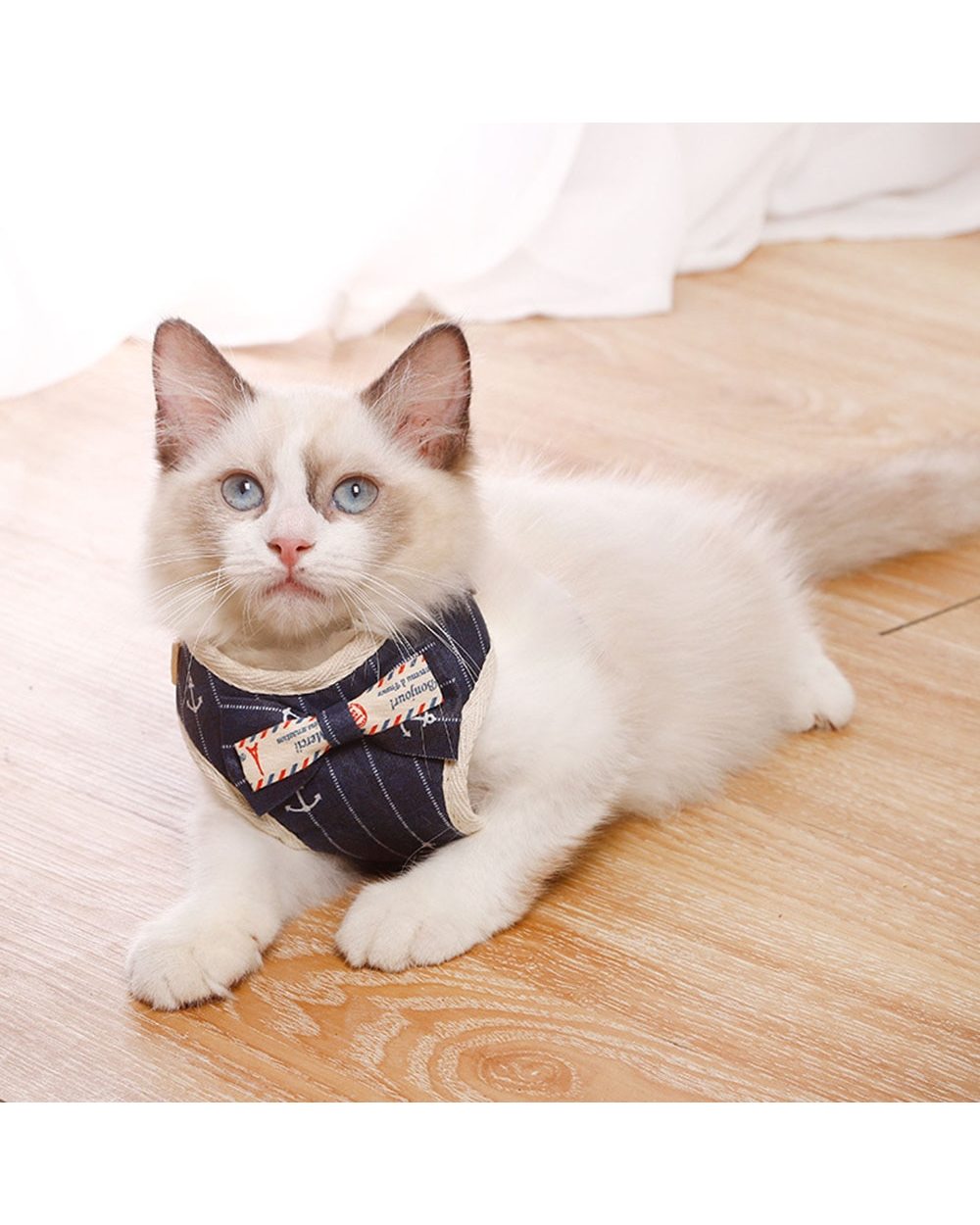 Adjustable Cat & puppy Lead Leash Clothes front-1