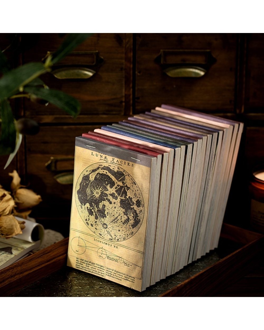 60pcs Time stamp plants Writable Material Vintage Decorative Paper Scrapbooking Background Paper front-4