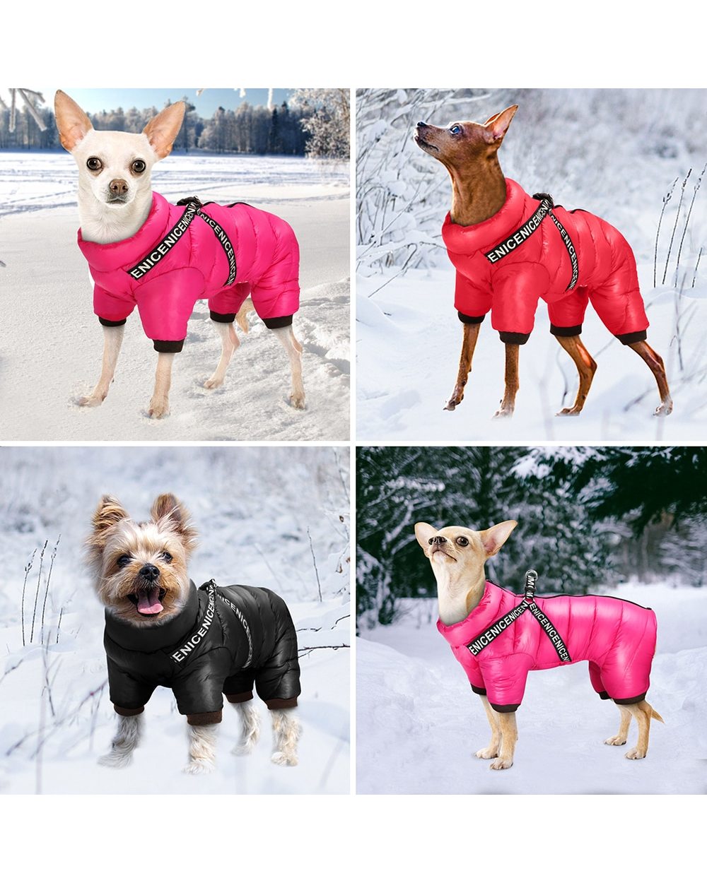 Small Pet Dog Coat Jacket With Harness Winter Warm Dog Clothes For Bulldog Chihuahua Outfits Waterproof Dog Clothing front-1
