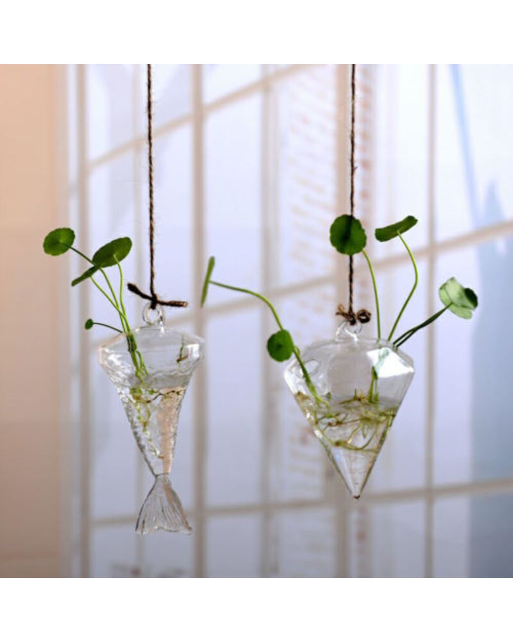 Home Garden Hanging Glass Ball Vase Flower Plant Pot Terrarium Container Party Wedding Decor Creative Hanging Decoration front-2
