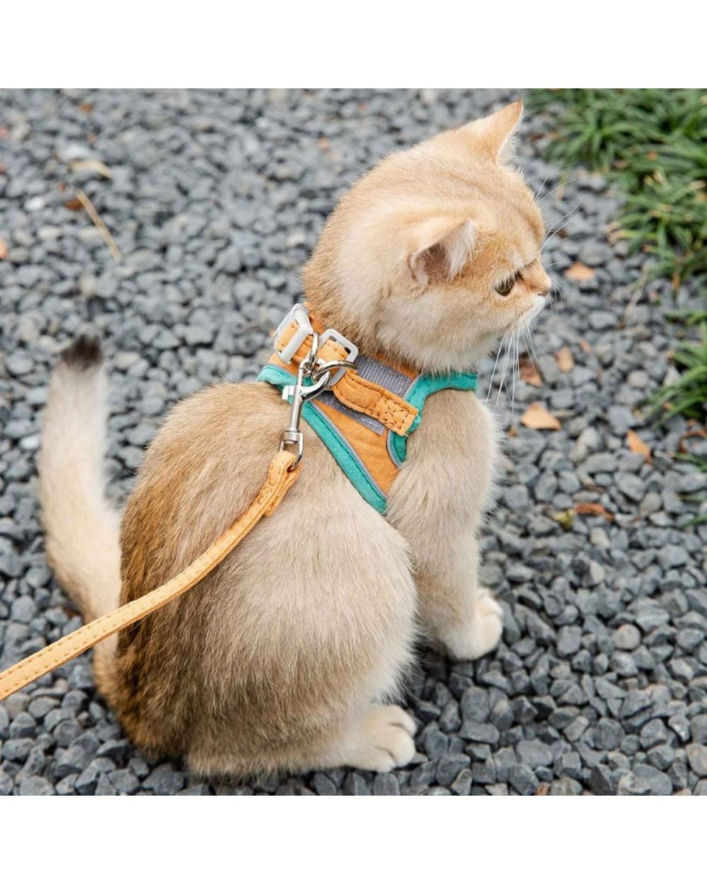 Harness Leash Set for Cat Vest Pug Leashes Walking Tools