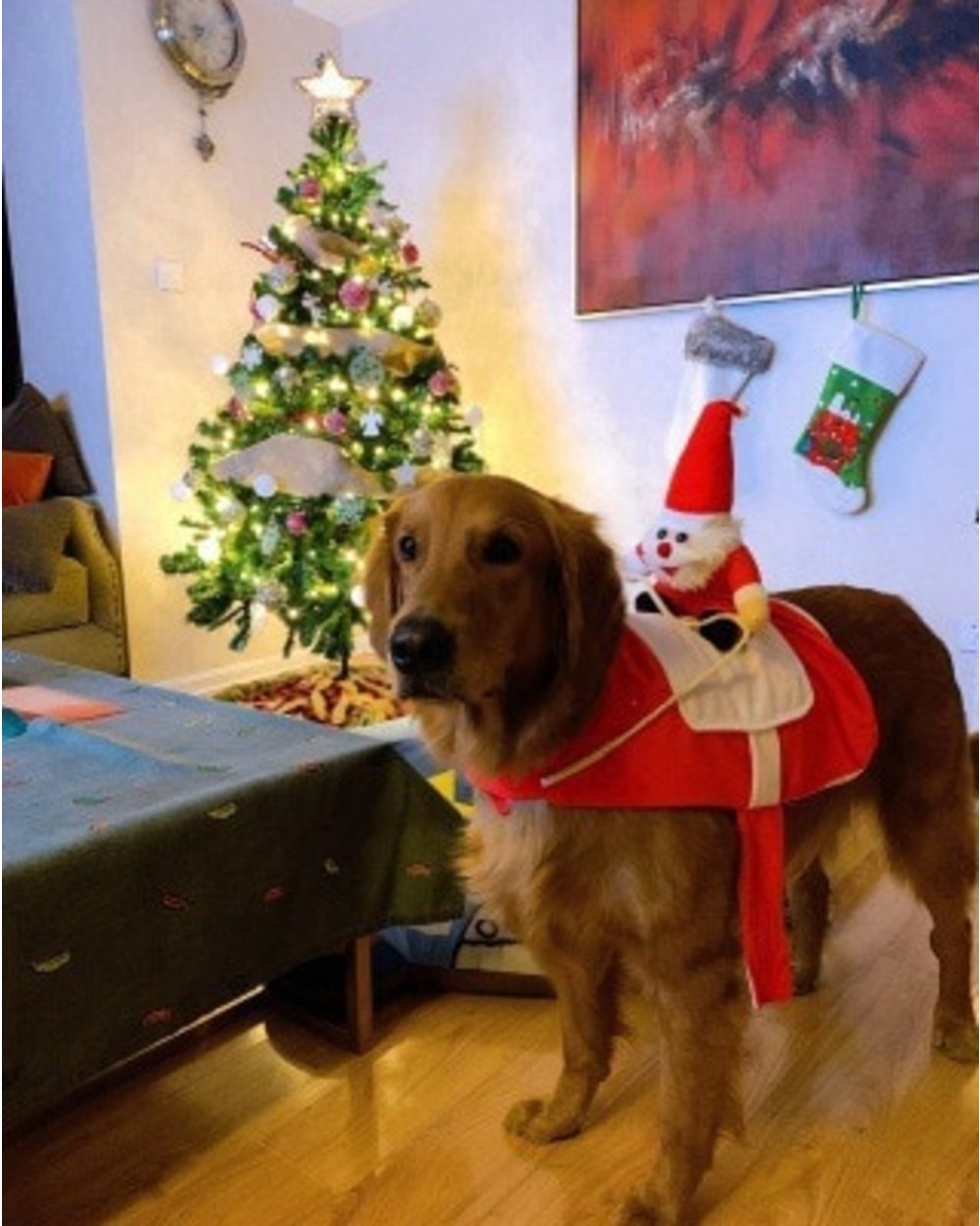 Christmas Pet Dog Clothes Santa Claus Costume For Dogs Cats Chihuahua Pug York Winter Puppy Jacket Warm Suit Pets Outfit front-2