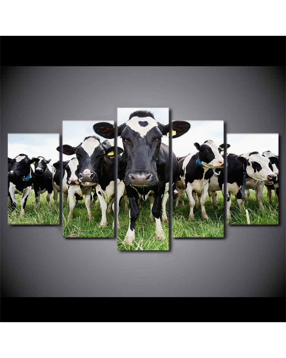 Milk Cow Line Up Picture Print Animal 5 Panel Canvas Art Wall Decor front-1