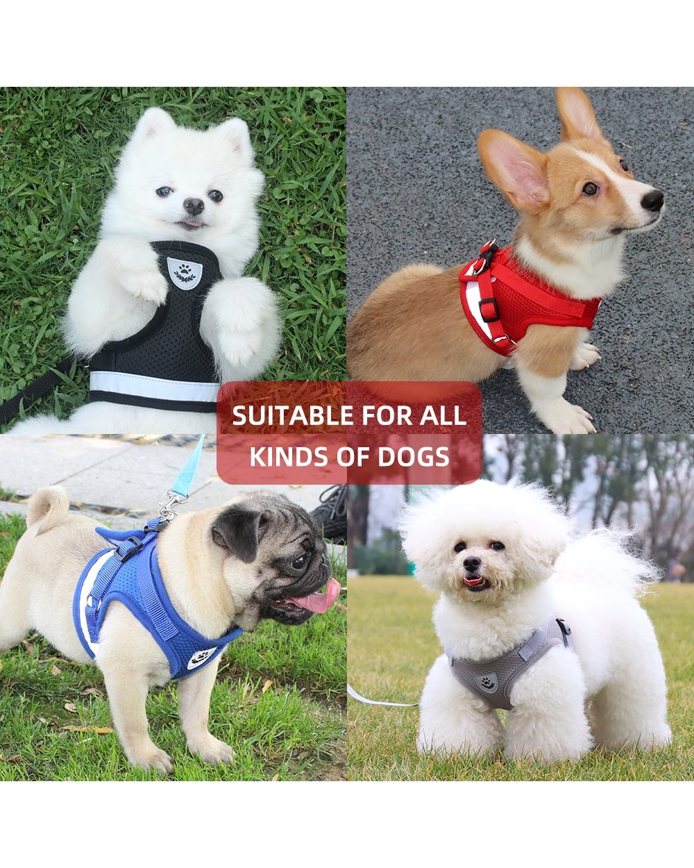MC Star Pet Chest Strap Vest Style Dog Mesh Harness Reflective Breathable Dog Safety Rope Bulldog Harness Walking Leash front-4