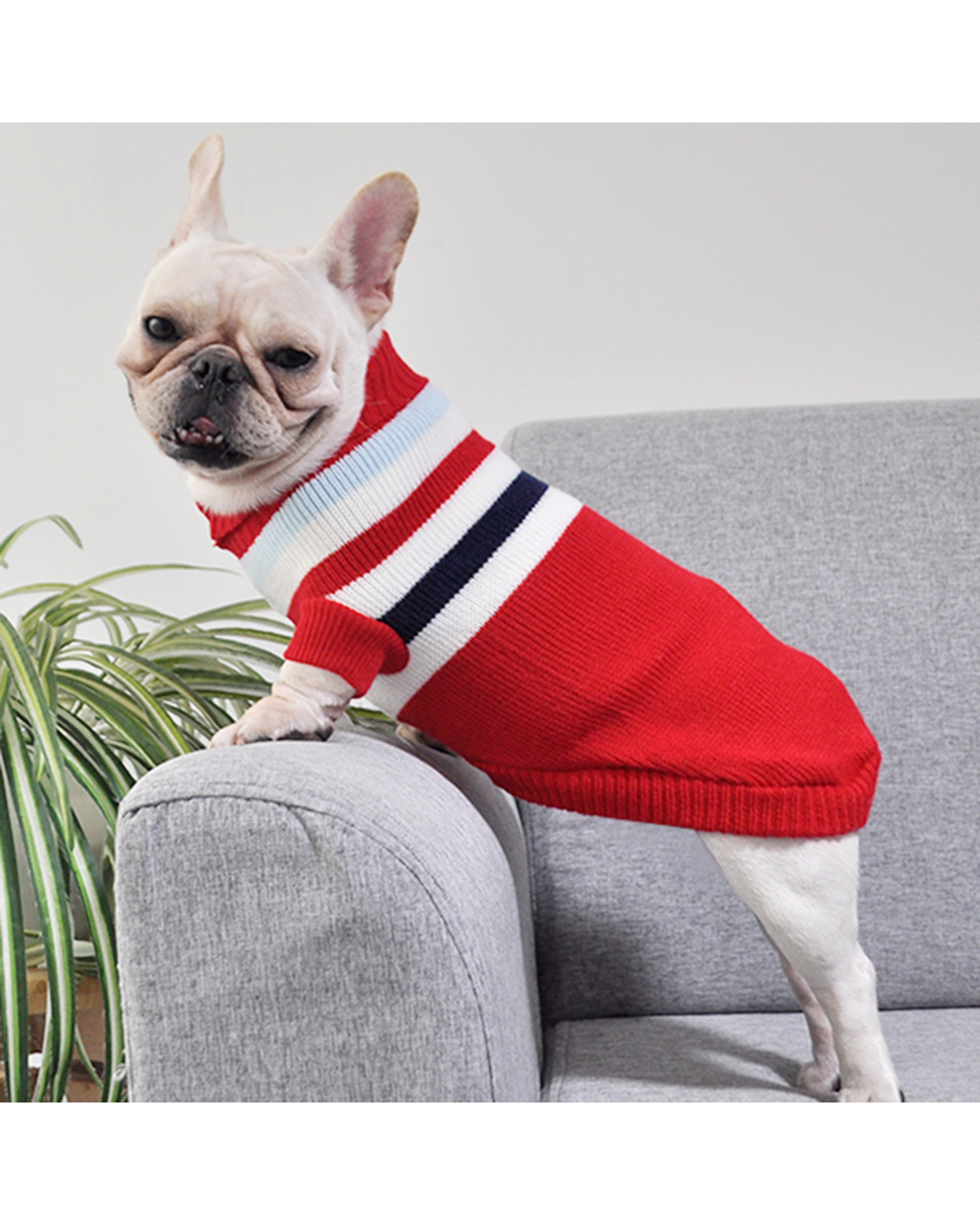 Stripe French Bulldog Dog Pullover Sweater Winter Warm Pet Clothes For Small Dogs Sphinx Pug Puppy Sweatshirt Dogs Pets front-0