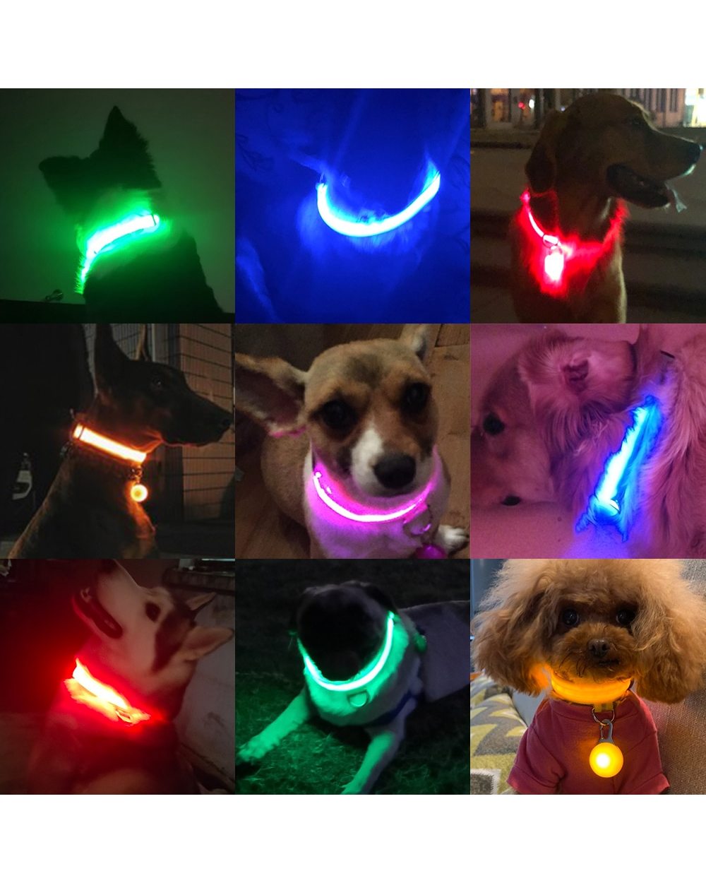 Led Dog Collar front-1