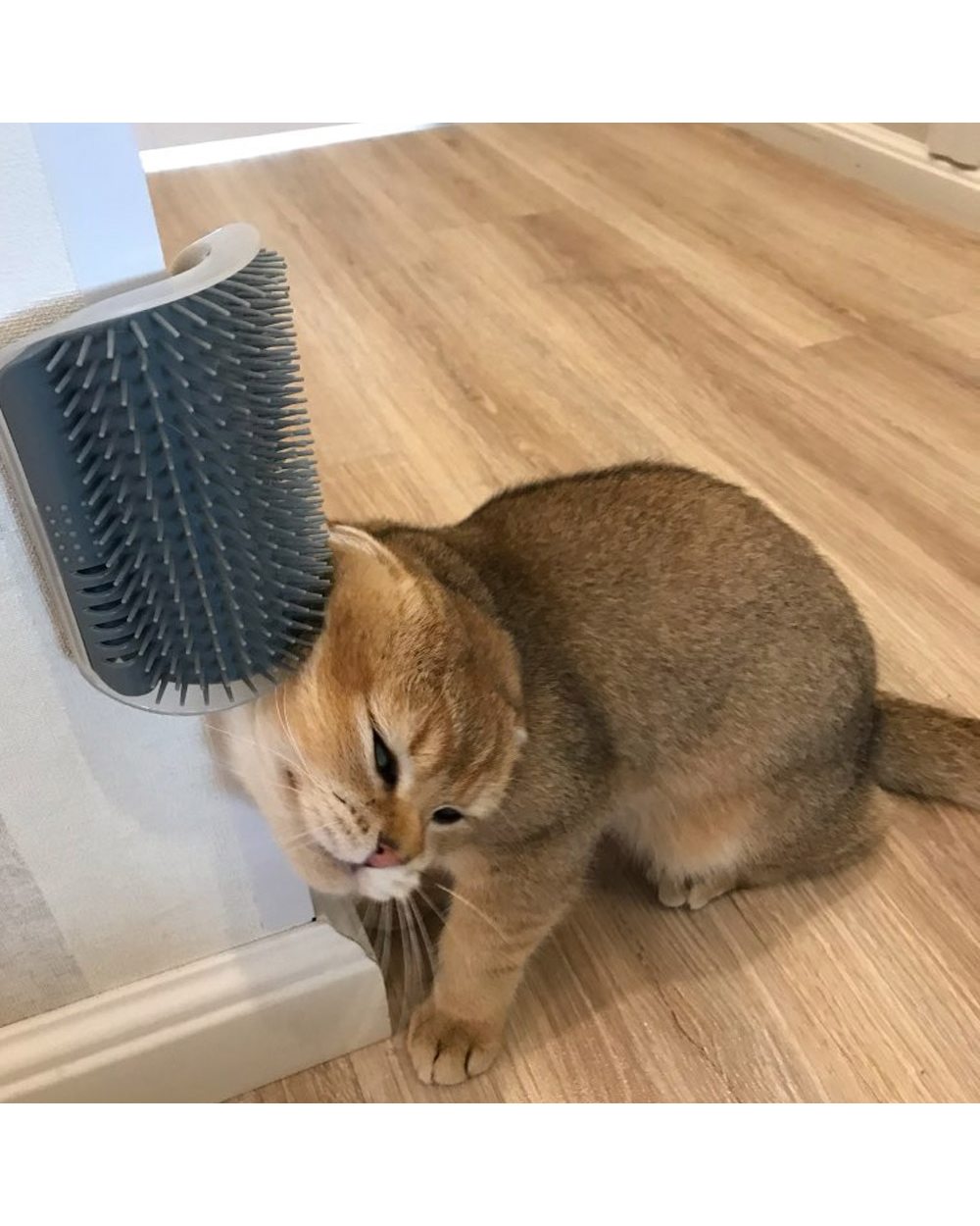 Cats Brush Corner Cat Massage Self Groomer Comb Brush front-0