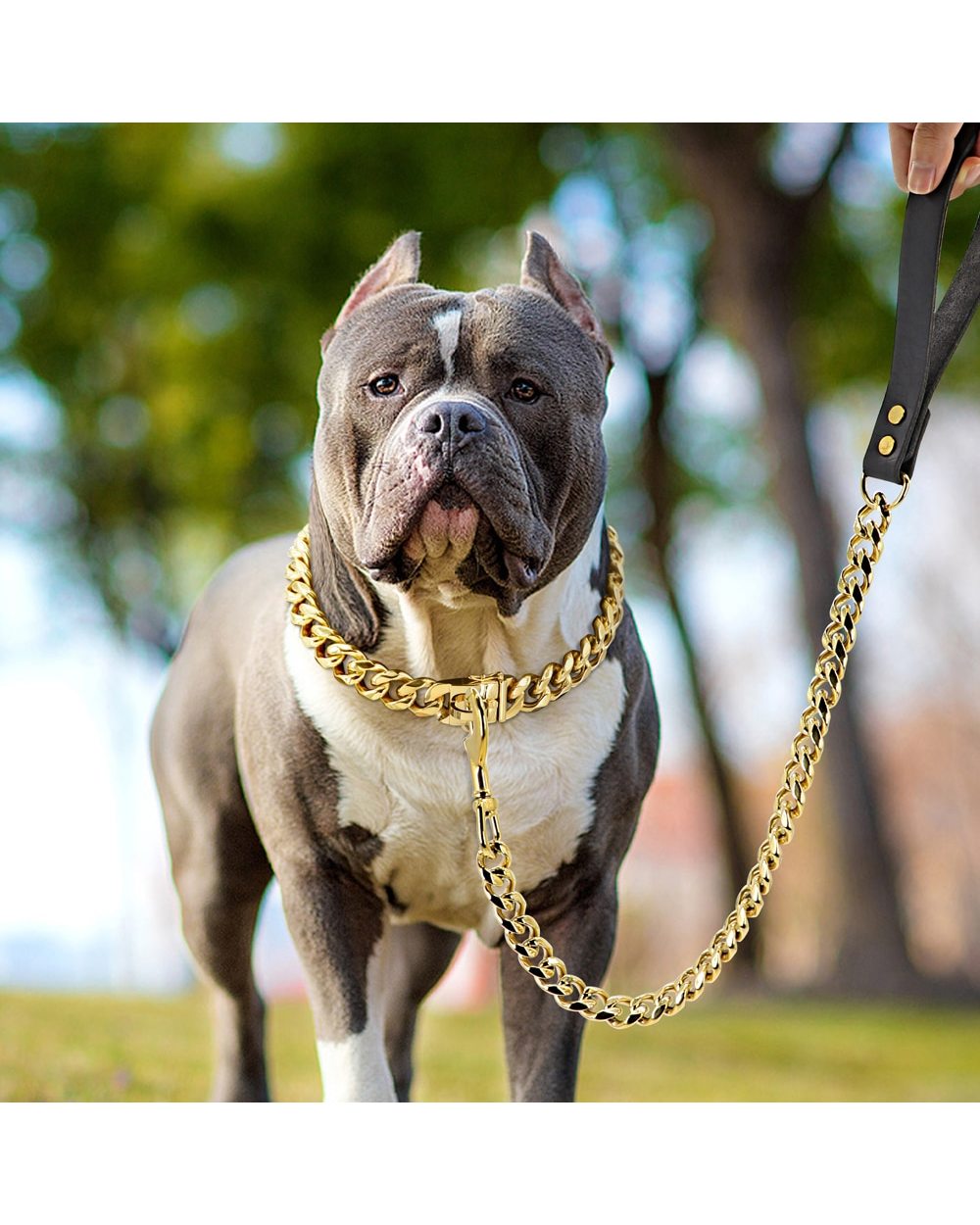 Stainless Steel Metal Gold Dog Accessories Chain Collar Leash Pet Training Collar For Large Dogs Pitbull French Bulldog front-4