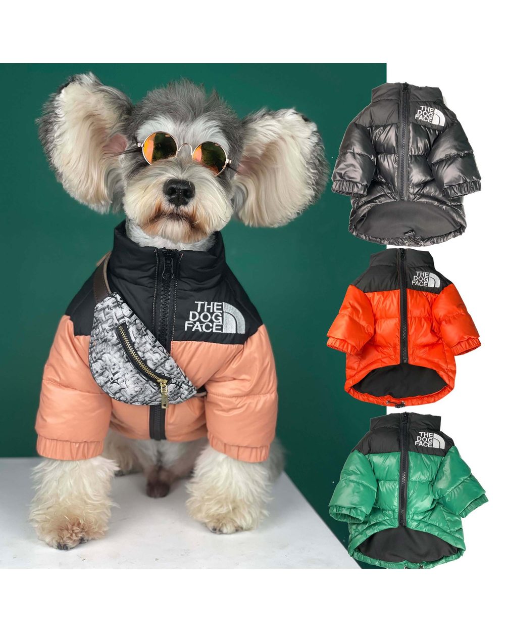 Pet Supplies Dogs Self Backpack AccessoriesDog Bags Teddy Schnauzer Puppy Shiba Lnu Cat Tide Messenger Bag Dog Supplies front-1