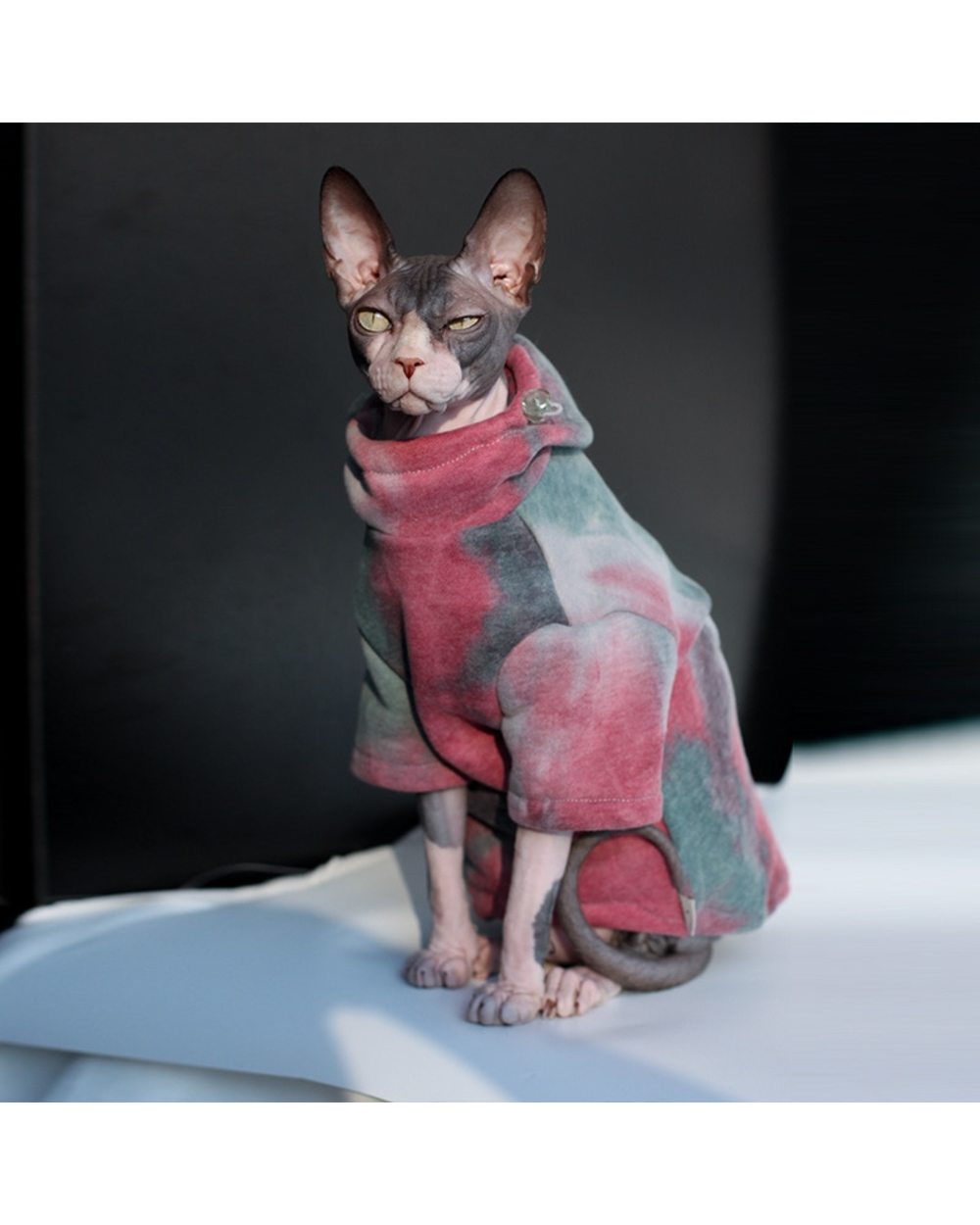 sphynx clothes canada