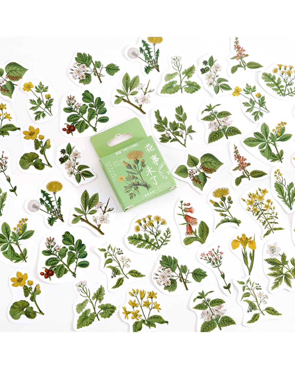 Mr.Paper 24 Patterns Cute Children Deco Sticker Lovely Cartoon Plants Flowers Japanese Kawaii Scrapbooking Deco Minibox front-5