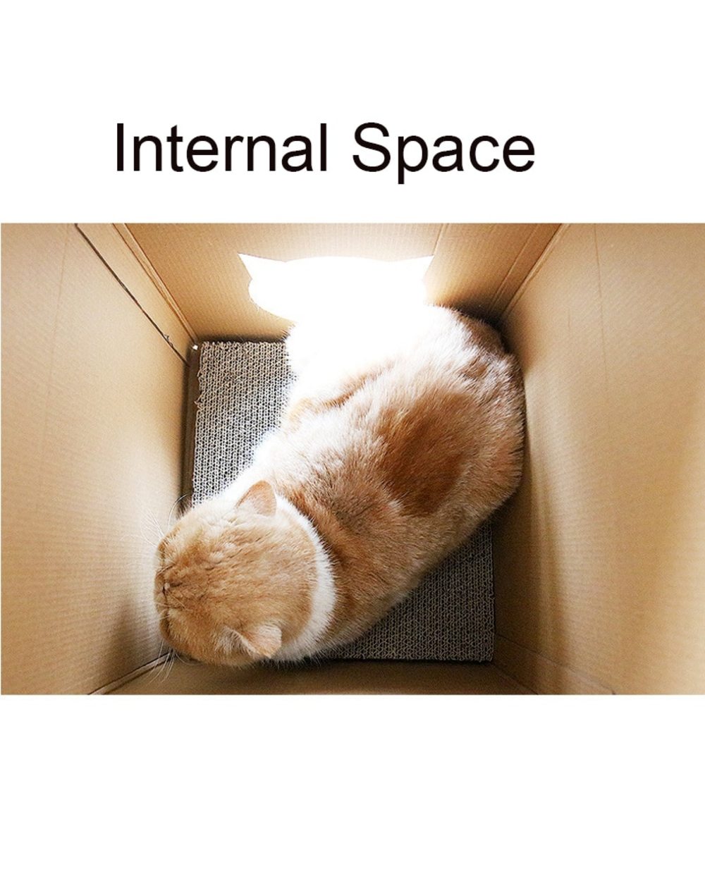 Corrugated Papper Milk Box Cat House Bed Collapsible Cat Scratcher Cardboard Pad Kitten Nest For Pet Cat Cartoon Home front-3