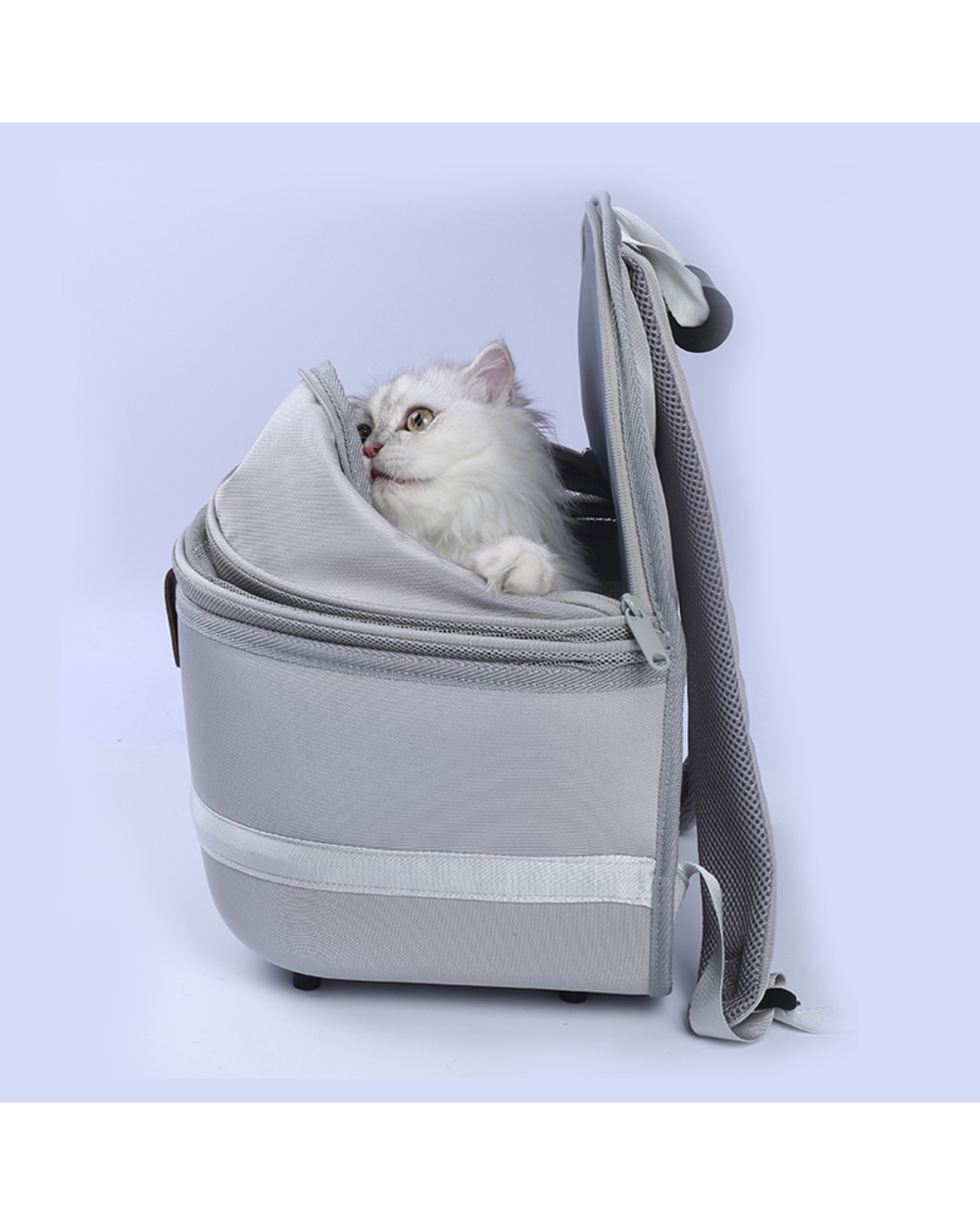 Carrier For Cat/ Small Dog front-3