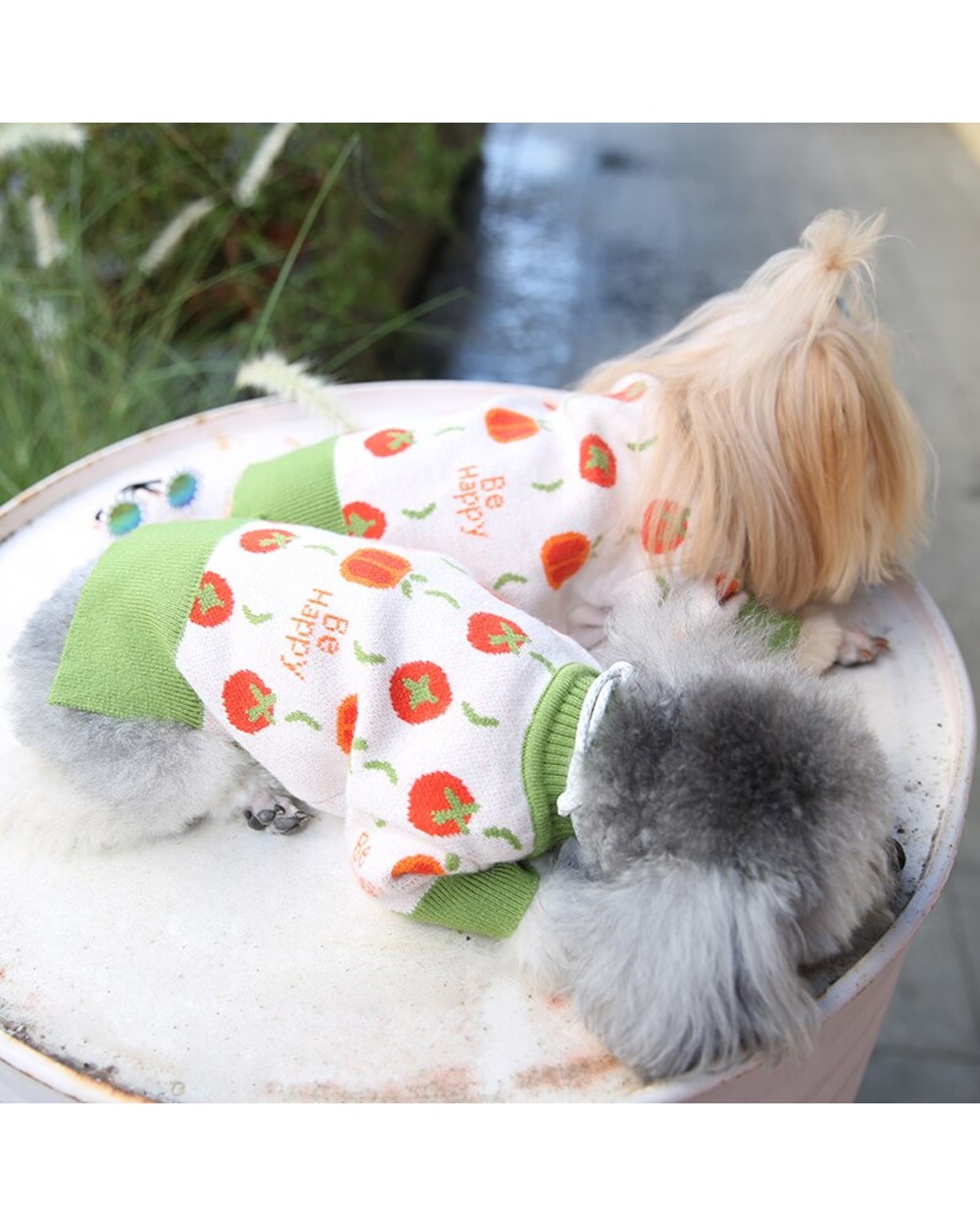 Cat Clothes for Cats Cute Reindeer Sweater for Sphinx Cat Winter Warm Chrismas Costume Sweatshirt Knitted Jumper front-1