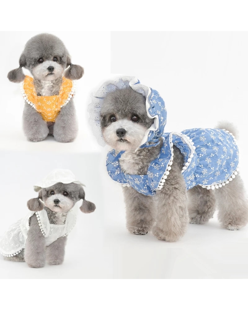 Chihua dog Clothing Summer Dog Take a walk Small Clothes Hat Cap Cute Puppy Costumes Pants front-0