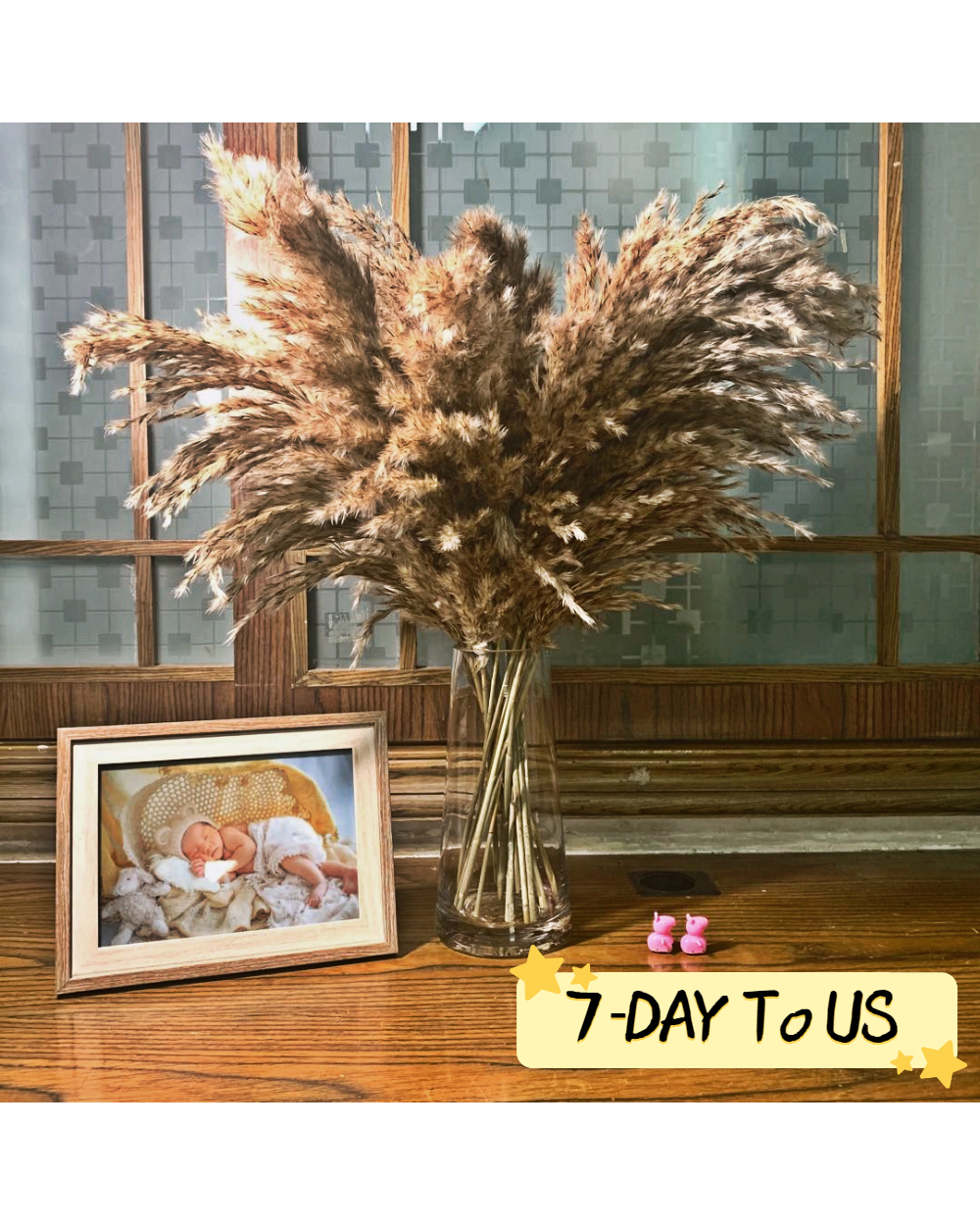 20 Stems Pompous Pampas-Grass Dried Pampas Plants front-0
