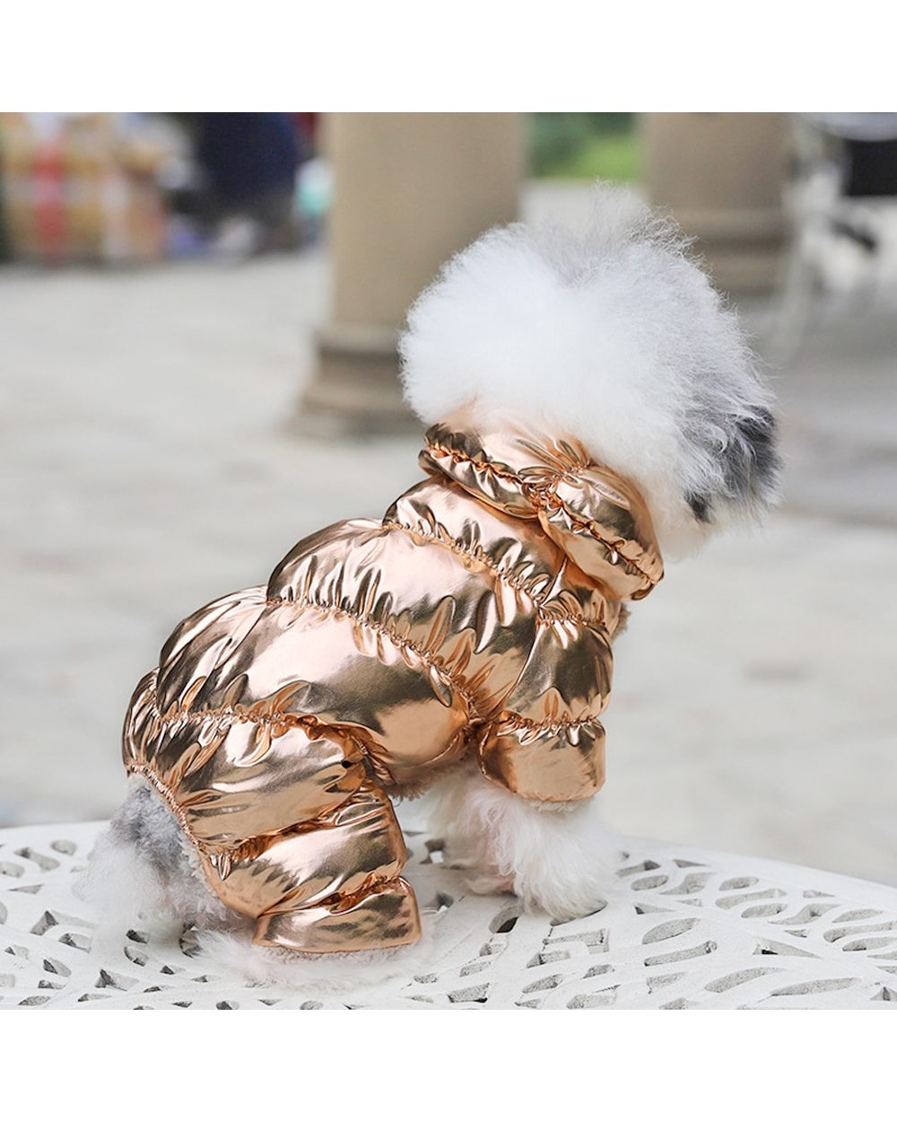 Warm Dog Clothes For French Bulldog Pug Chihuahua Yorkies Clothes Winter Pet Puppy Coat Jacket Dogs Pets Clothing front-1