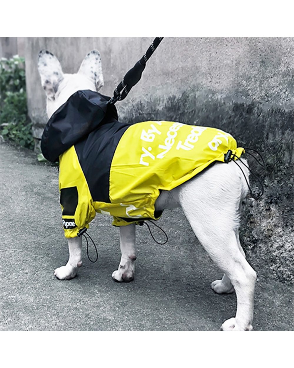 Pet Dog Waterproof Coat The Dog Face Pet Clothes Outdoor Jacket Dog Raincoat Reflective Clothes for Small Large Dogs front-4