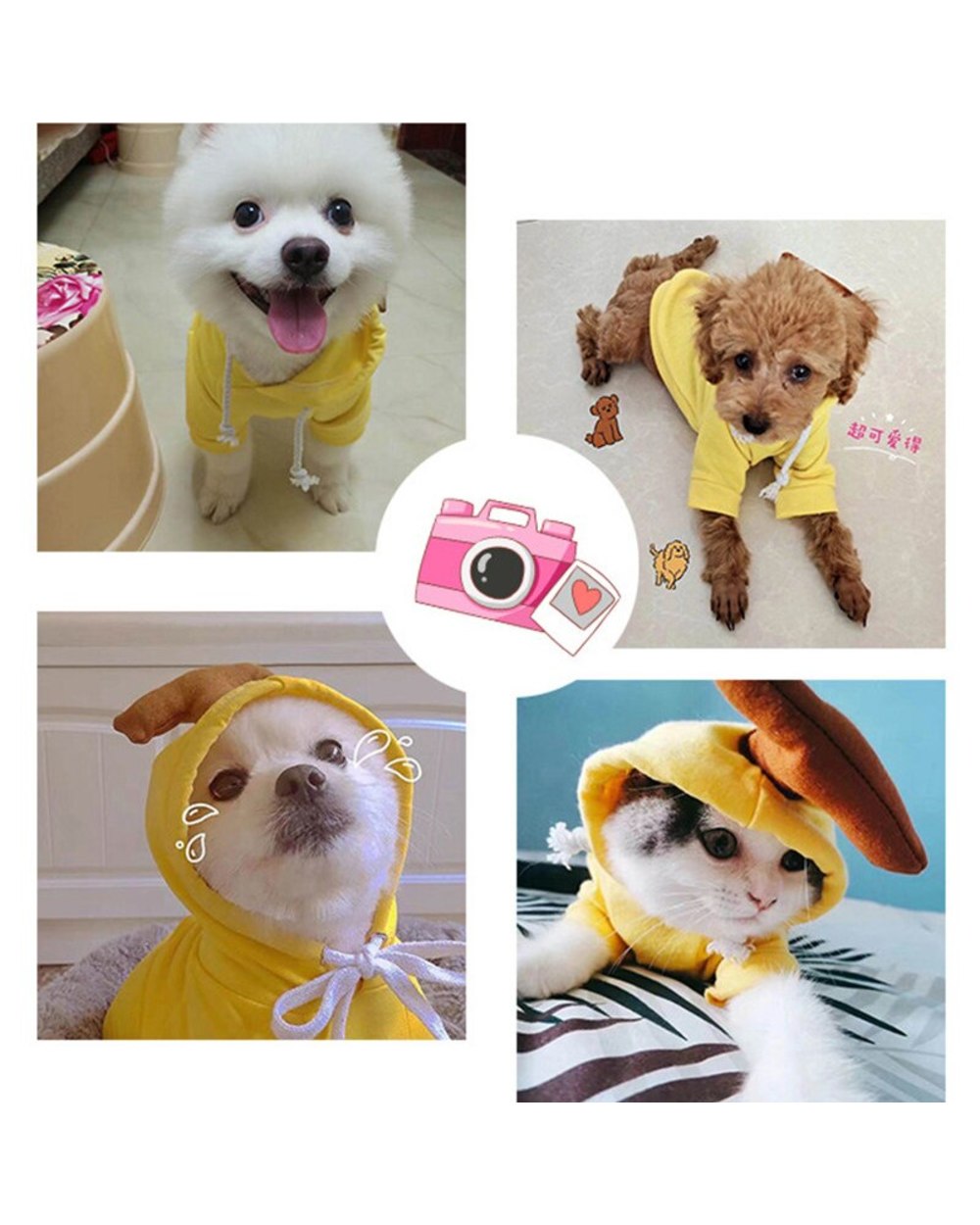 Dog Hoodie Winter Pet Dog Clothes for Small Dogs Pets Clothing Warm Coat Jacket for Cat Puppy Pet Clothing for Dogs front-5