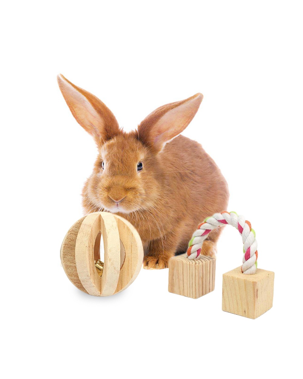 Cute Natural Wooden Rabbits Toys front-6