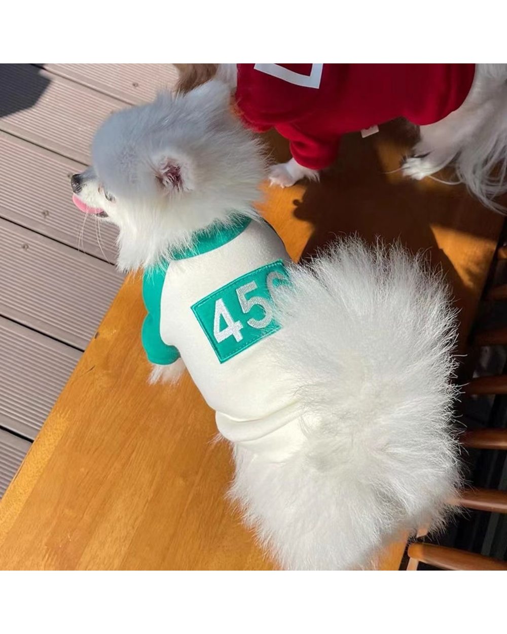 Dog Hoodie Squid Game Christmas Clothes Winter Halloween Yorkie Sweater Costume Chihuahua Stuff Luxury Clothing Costumes front-2