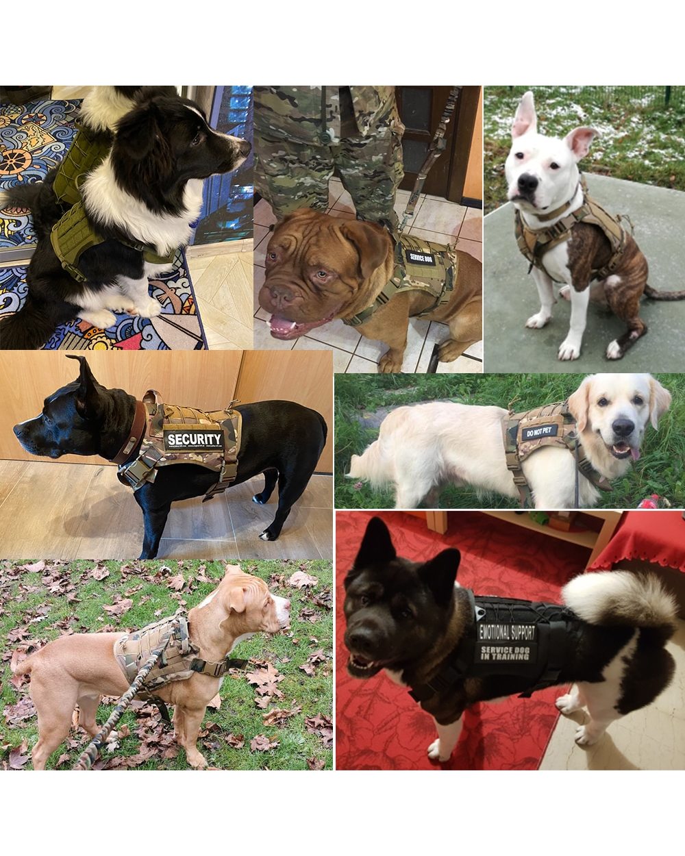 Dog Harness And Leash Set For Small Medium Big Dogs- Tactical Dog Harness Pet Training Vest front-5