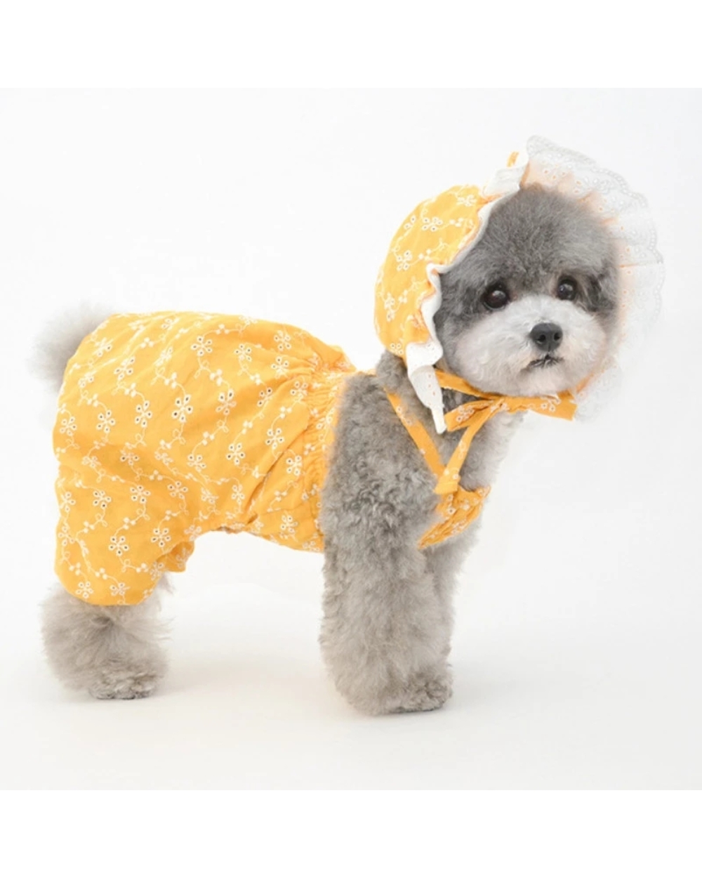 Chihua dog Clothing Summer Dog Take a walk Small Clothes Hat Cap Cute Puppy Costumes Pants front-2