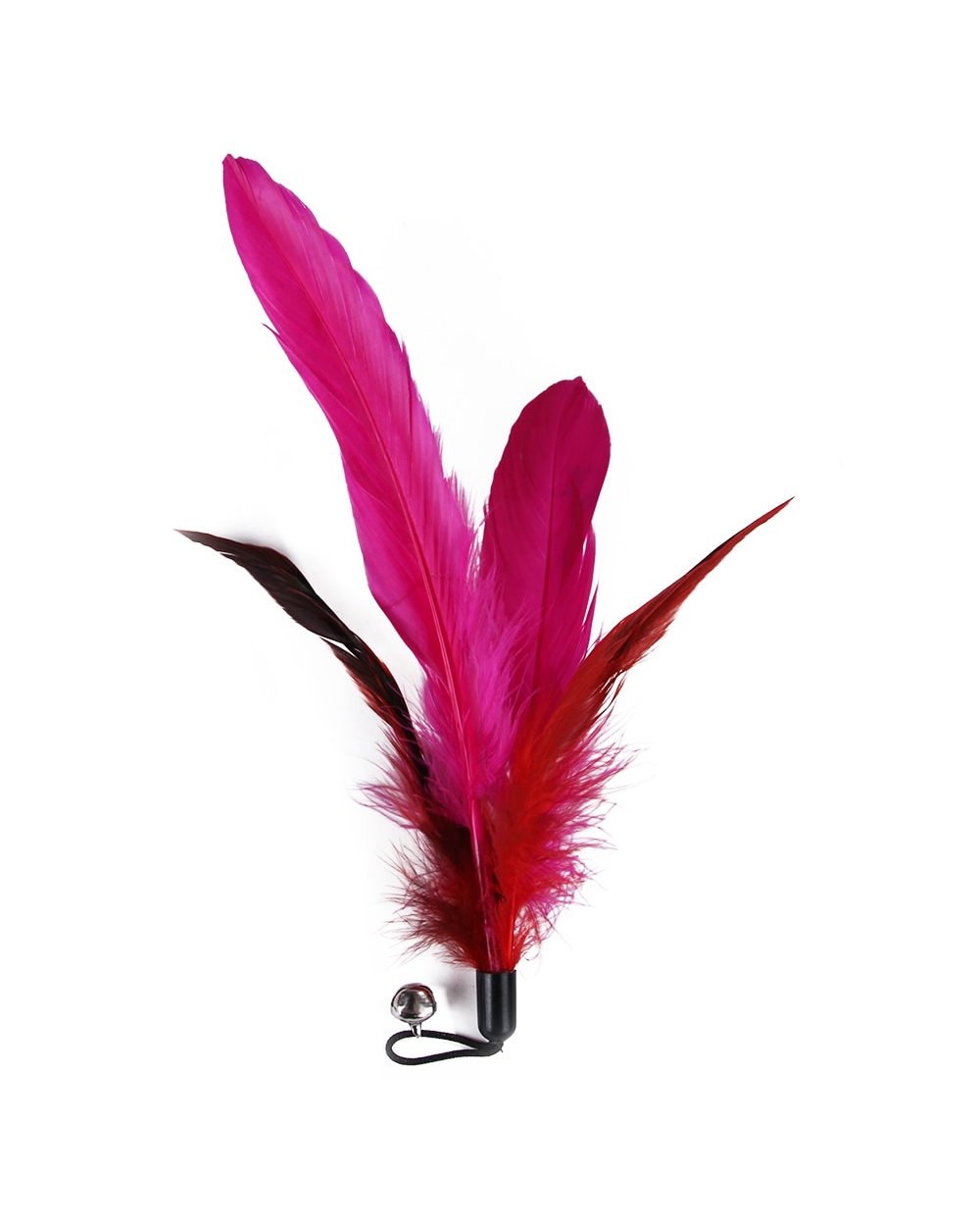 11 PCS Replacement Cat Feather Toy Set Cat Having Fun Exercise Playing Without the Stick front-5