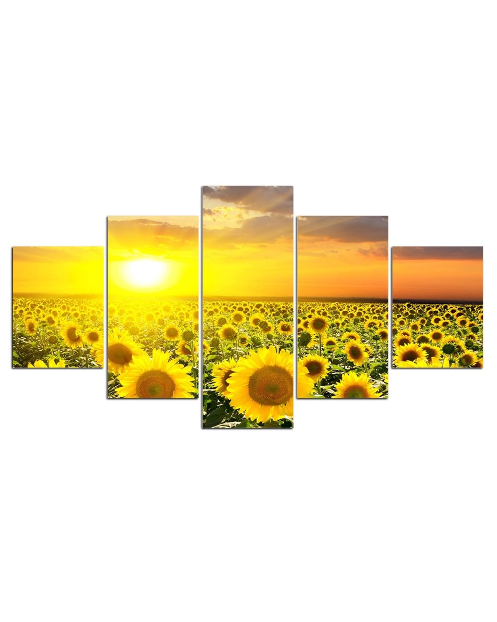 Sunflower Sunset Golden Flower Field Painting Picture Nature 5 Panel Canvas Art Wall Decor front-1