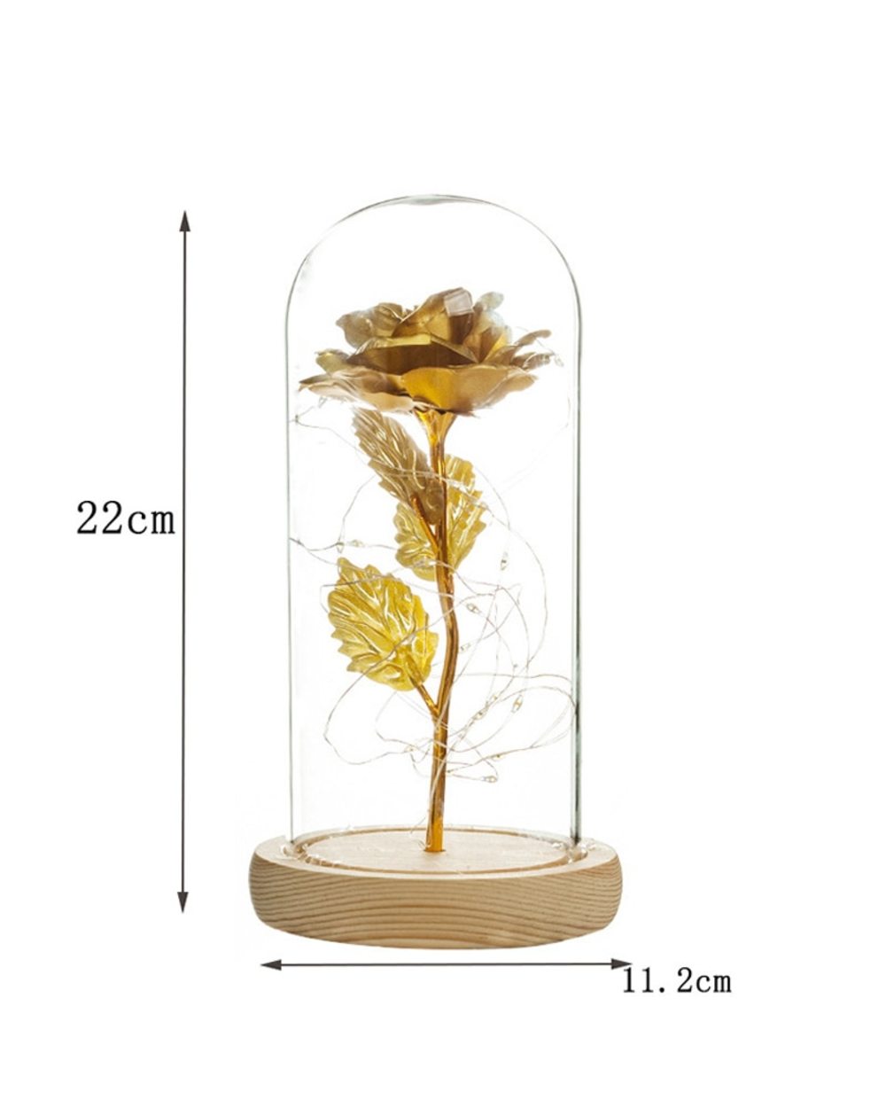 Beauty and Beast Light Rose Flower Glass Cover LED Battery Lamp Gift For Valentine's Day front-5