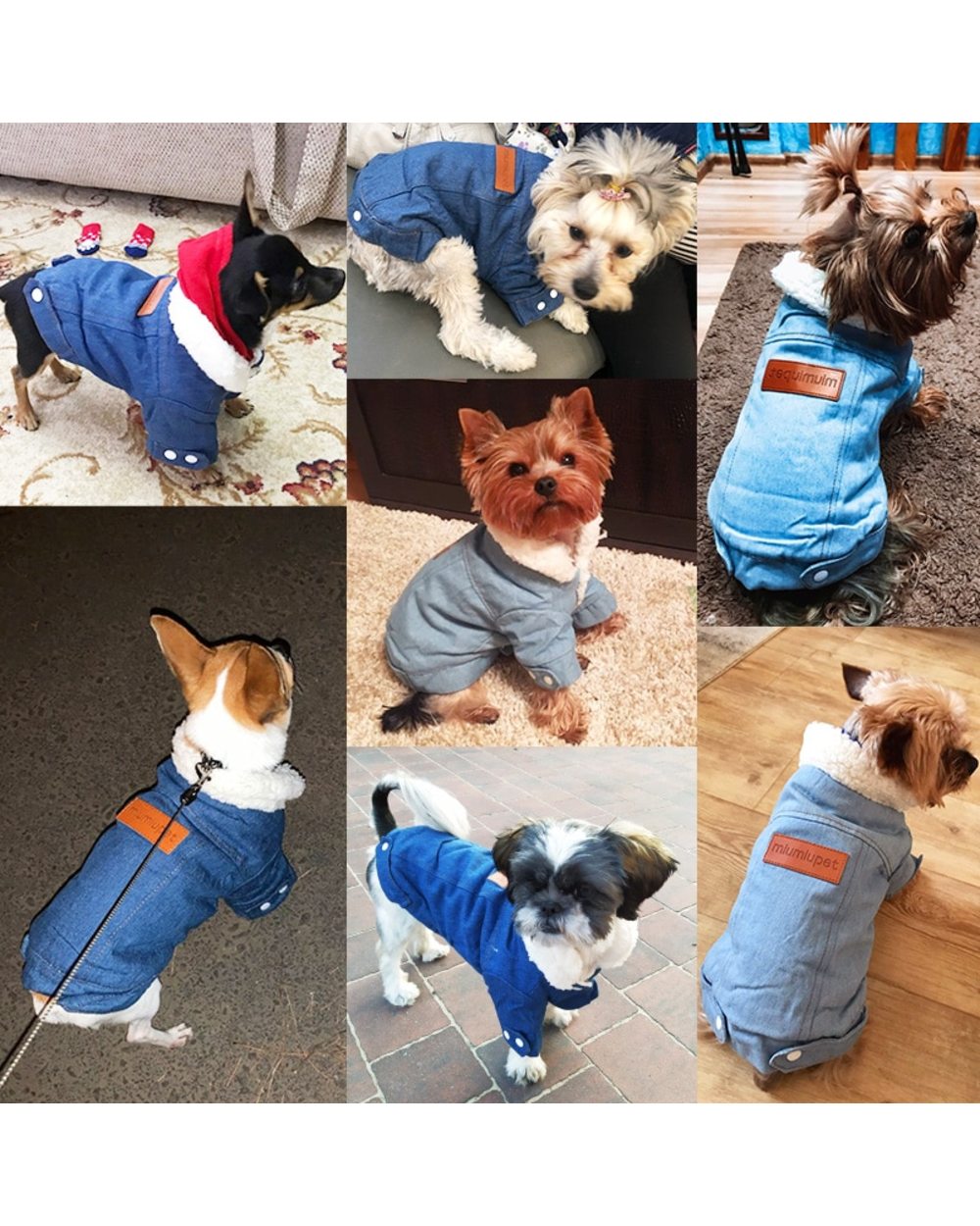 Luxury Winter Denim Dog Jacket front-4