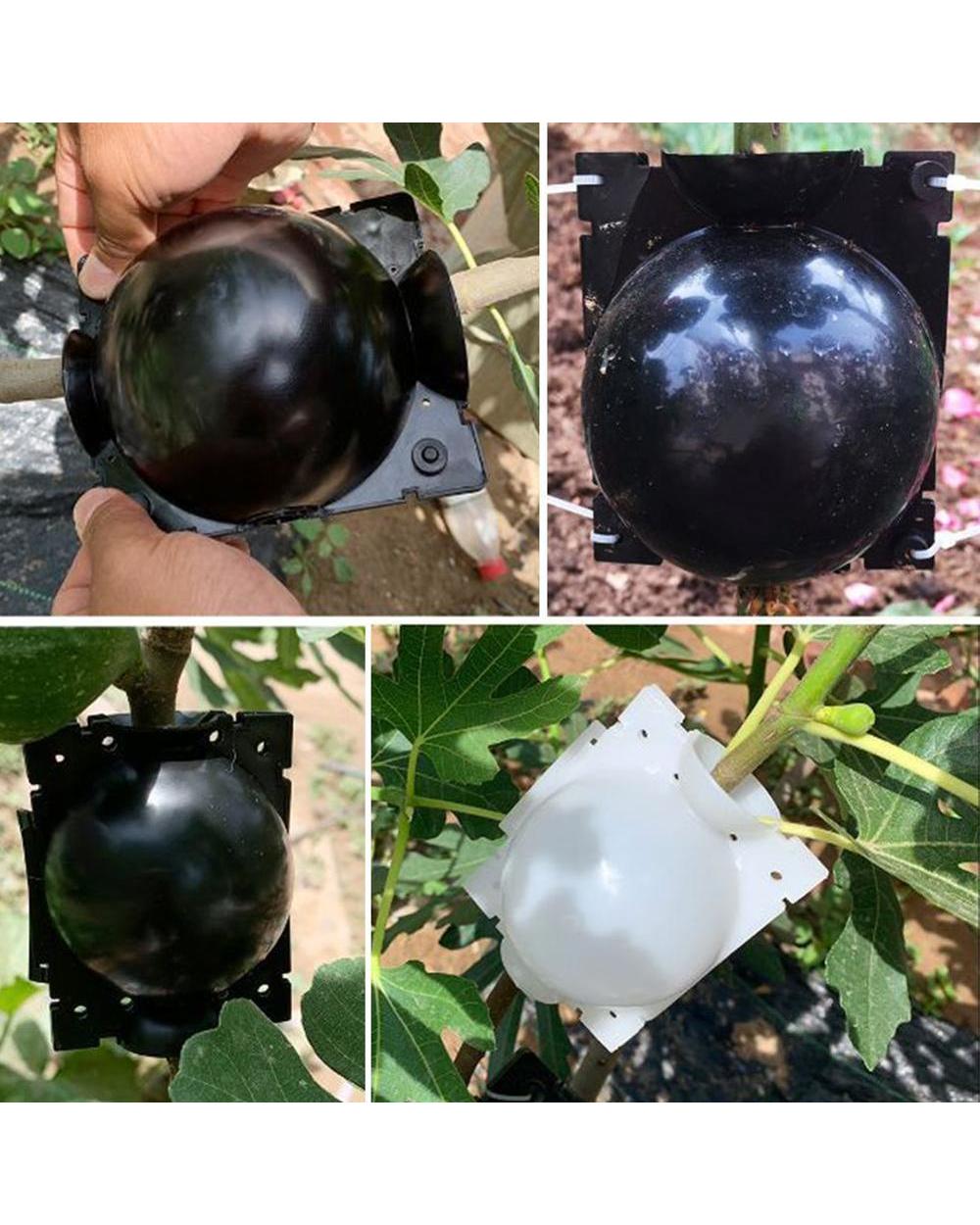 5Pcs(5/8/12Cm) Plant Rooting Ball Grafting Rooting Growing Box Breeding Case Plant Root Growing Box For Garden 5/8Cm In front-1