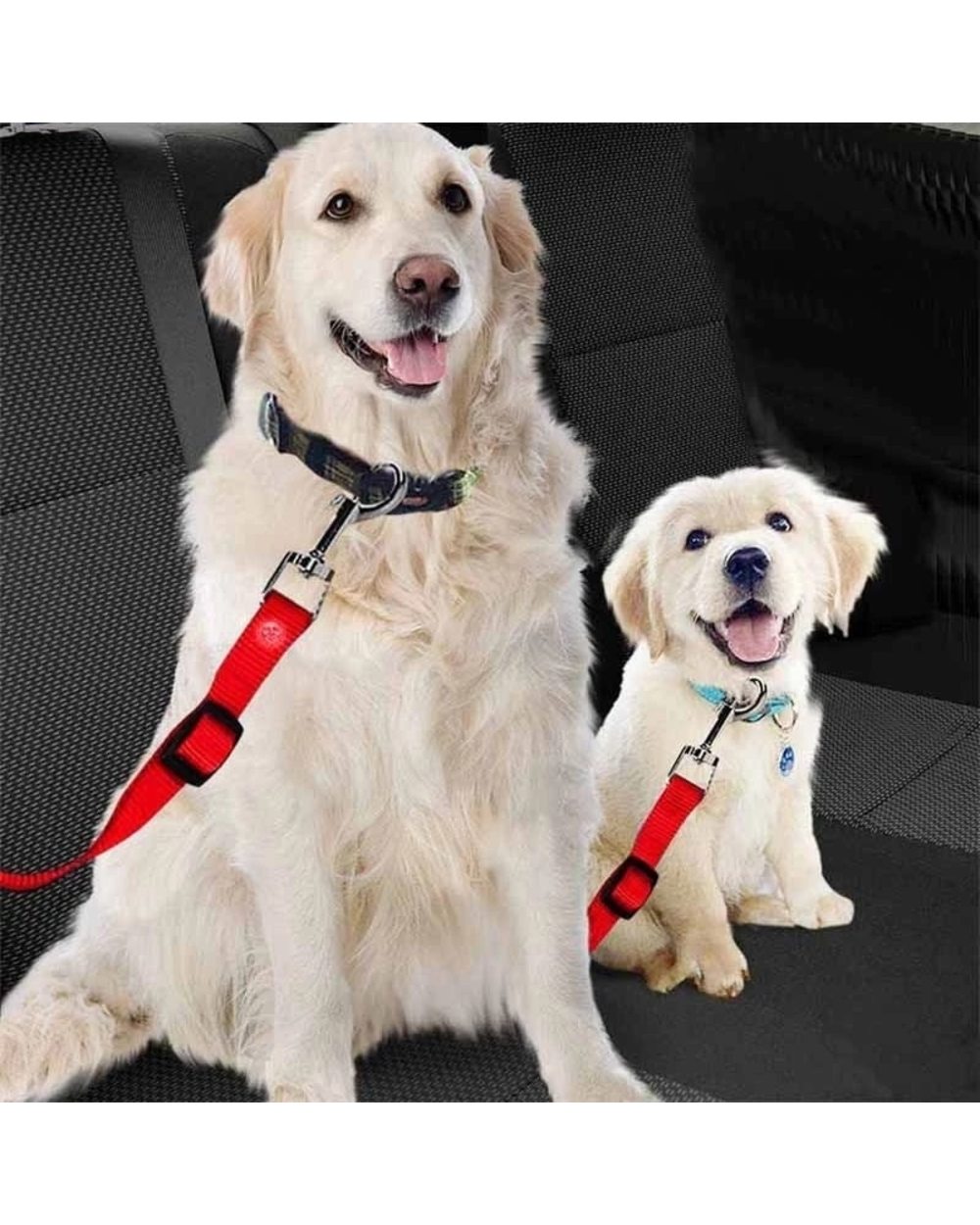 Adjustable Pet Safety Seat Belt front-1