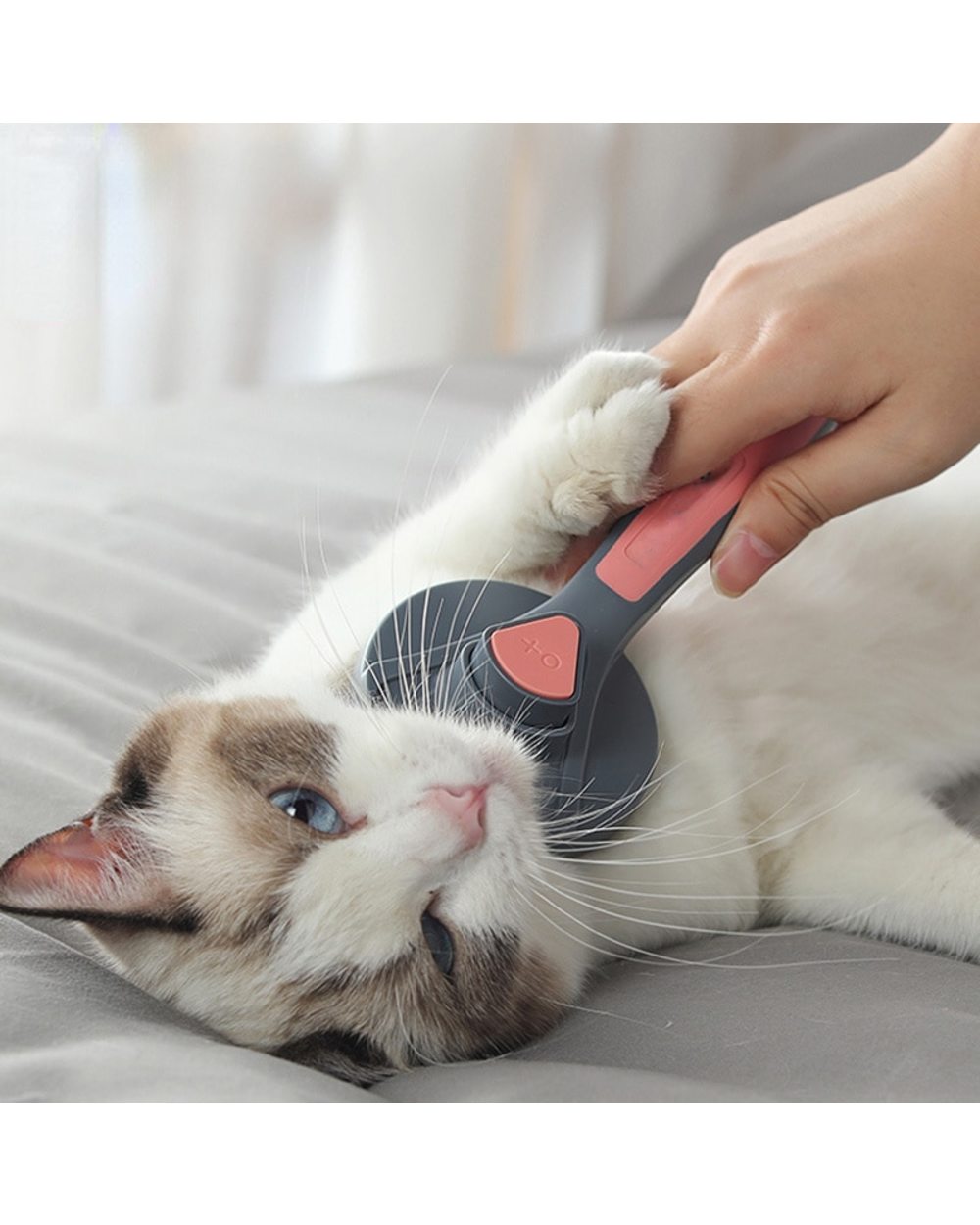 Mainecoon Cat Comb Dog Comb Cat Hair Brush Pet Dog Hair Special Needle Combs Cat Hair Cleaner Cleaning front-0