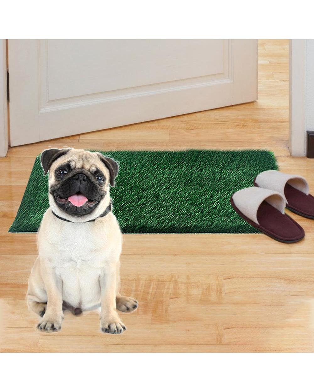 Pet Dog Potty Toilet Traning Pad front-4
