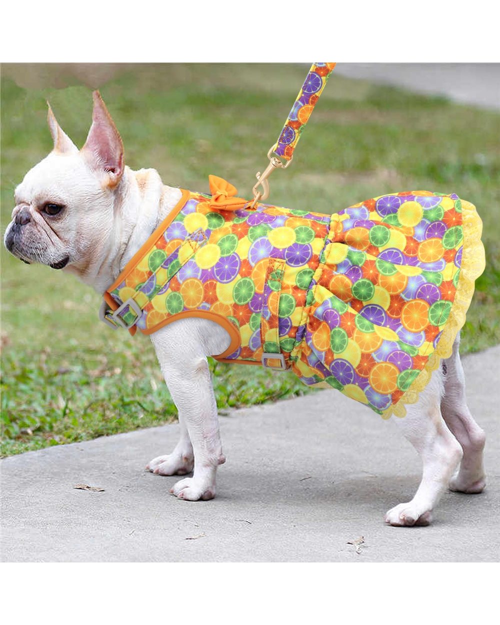 Cute Chihuahua Dog Cat Harness Leash Set Summer Pets Puppy Clothes Dress Small Dog Vest For Pug Yorkie French Bulldog front-4