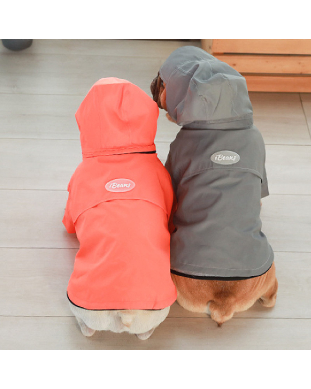 Reflective Ragdoll cat Raincoat Clothes Bichon Poodle Schnauzer Waterproof Clothing Welsh Costume front-1