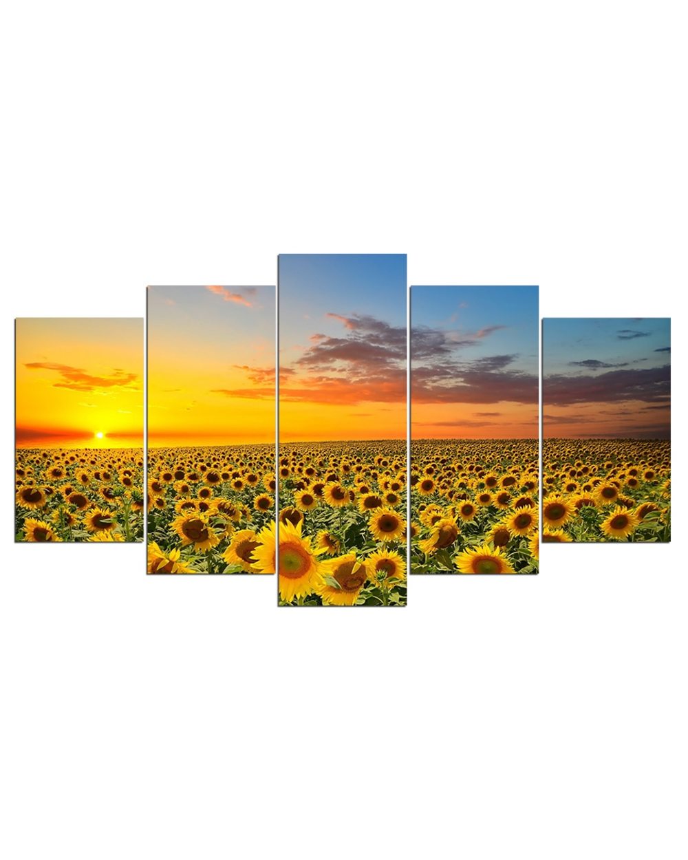 Golden Field of Sunflower in Sunset Picture Print Nature 5 Panel Canvas Art Wall Decor front-1
