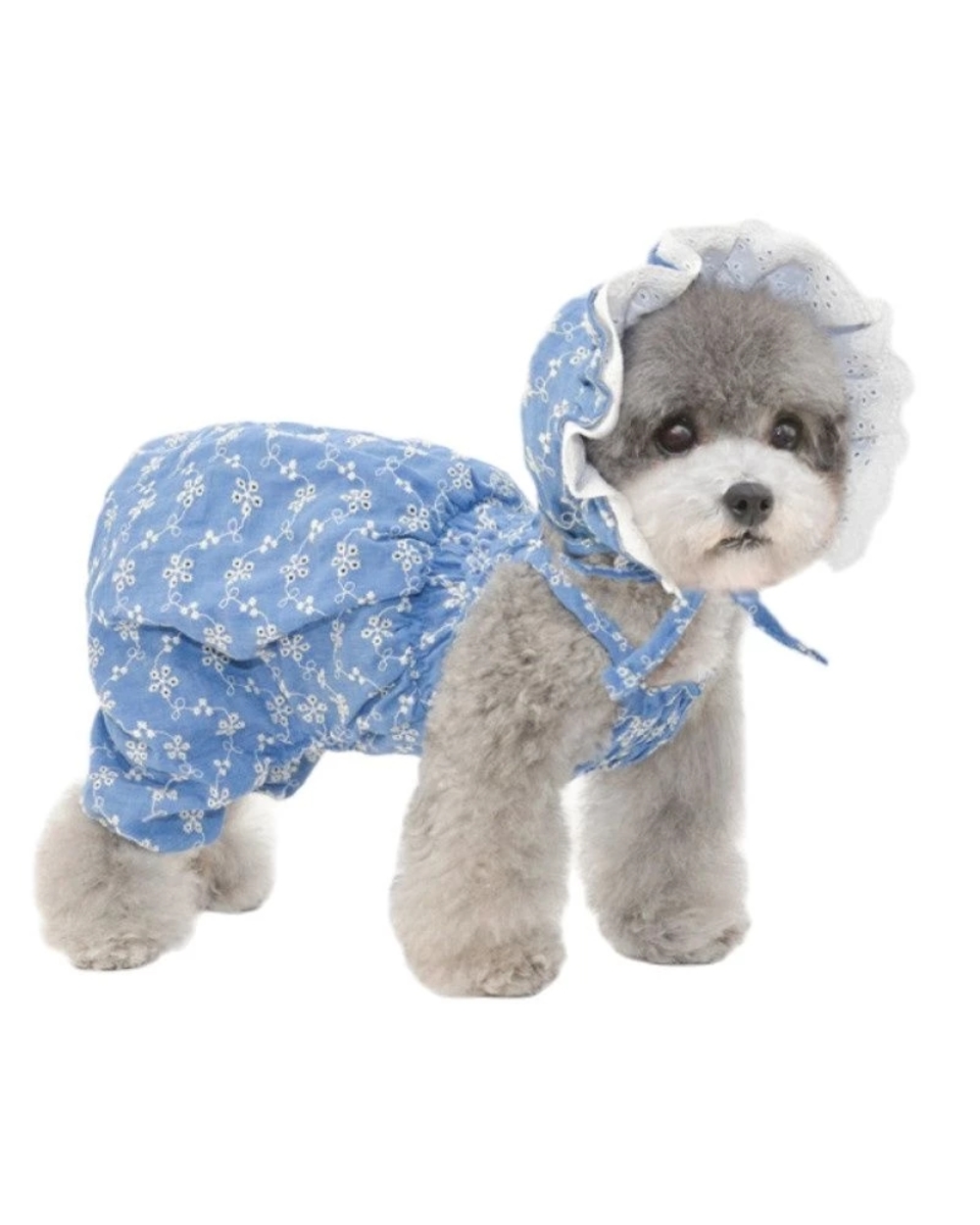 Chihua dog Clothing Summer Dog Take a walk Small Clothes Hat Cap Cute Puppy Costumes Pants front-1