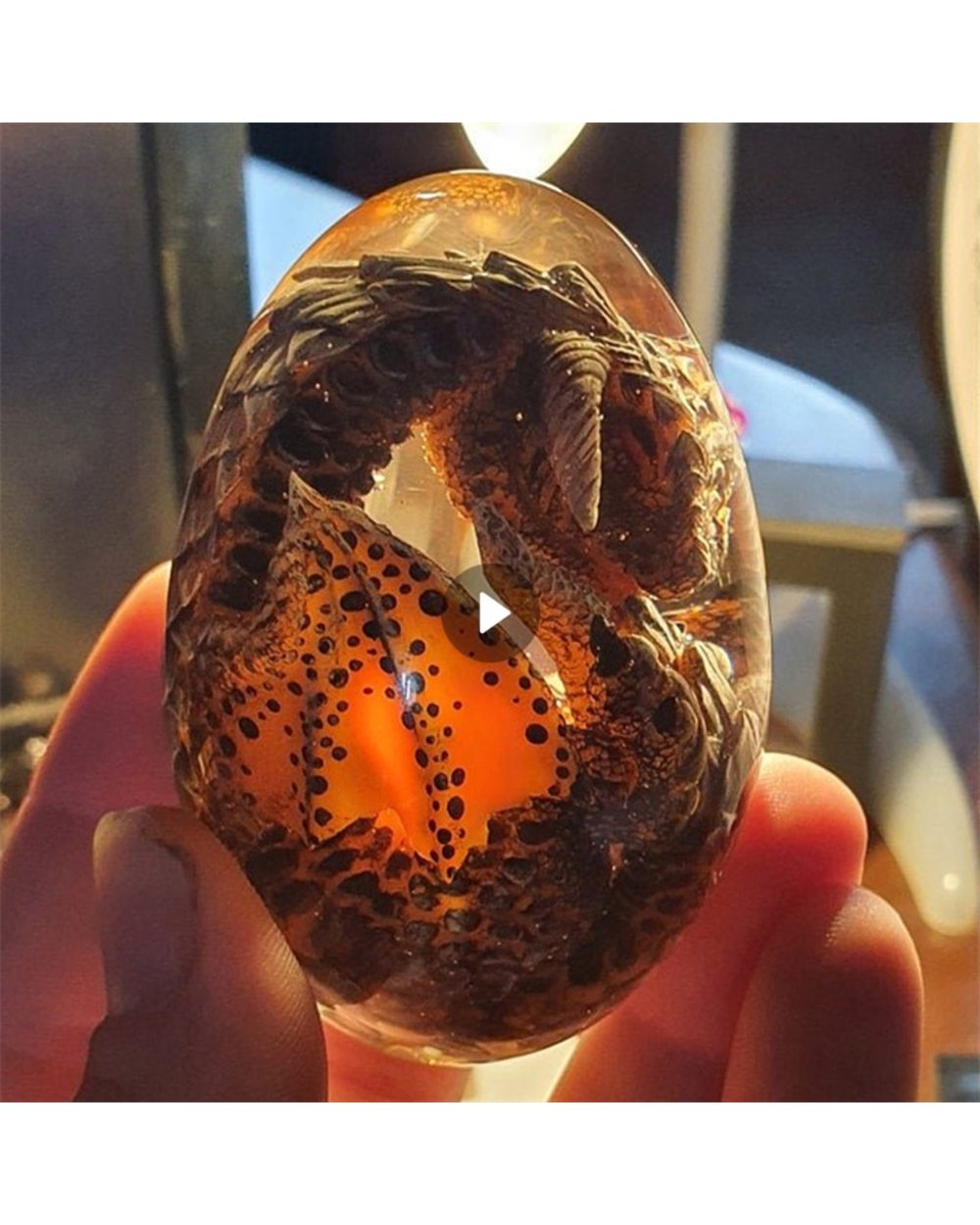 Lava Dragon Egg front-0