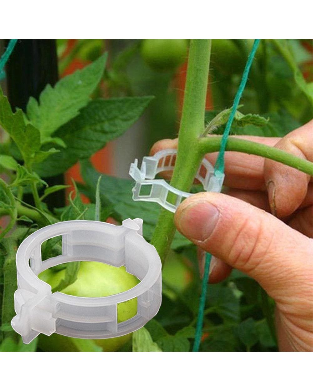 100pcs Plastic Plant Supports Clips front-0