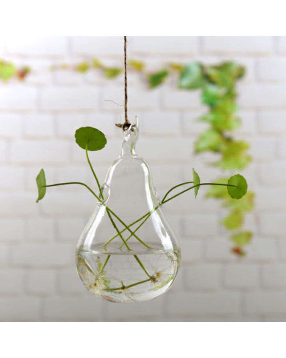 Home Garden Hanging Glass Ball Vase Flower Plant Pot Terrarium Container Party Wedding Decor Creative Hanging Decoration front-5